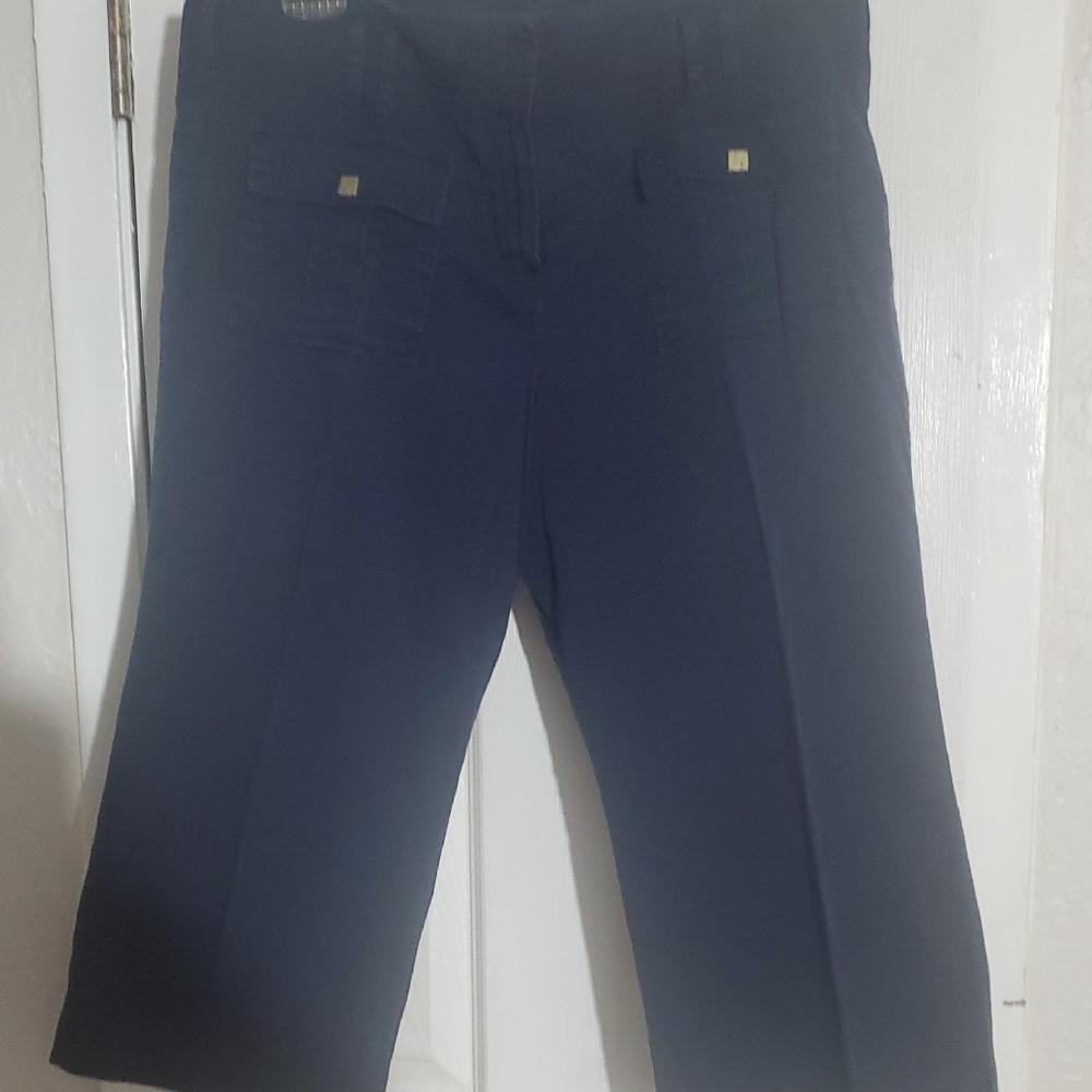 Sharagano Navy Capri Pants